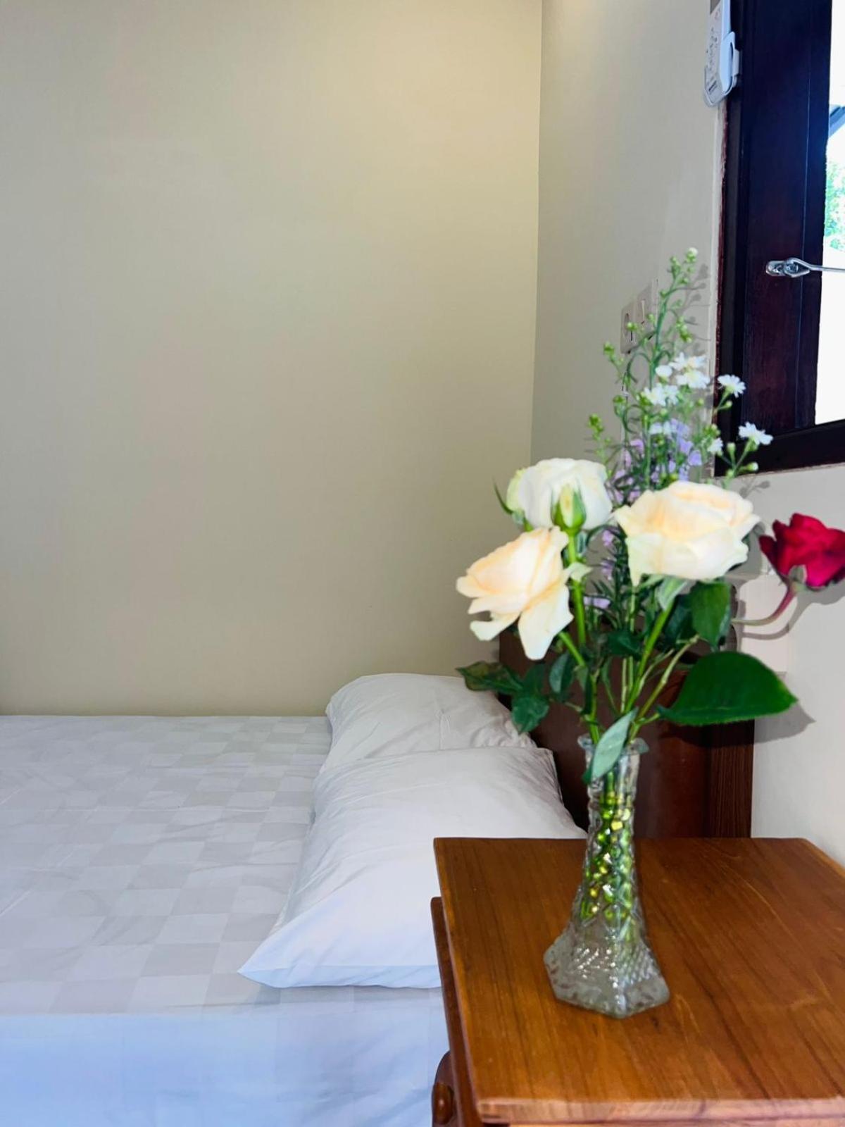 Zigiz Lovina Hostel エクステリア 写真